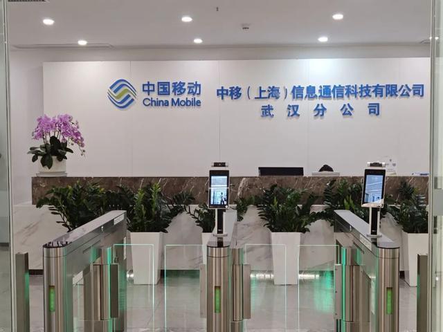 搜狐体育直播在线观看-“四个季度考核都是C，年度考核等级D”女子差1分合格，失去12.9万年终奖，仲裁赢了官司输了已上诉